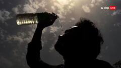 झारखंड में प्रचंड गर्मी से हाल बेहाल, पलामू में हीट स्ट्रोक से 4 लोगों की मौत, पक्षियों पर भी पड़ रहा असर