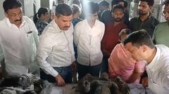 विठ्ठल मंदिराच्या गुप्त तळघरात सापडल्या प्राचीन मूर्ती, 12 ते 13 व्या शतकातील मूर्ती असल्याचा दावा