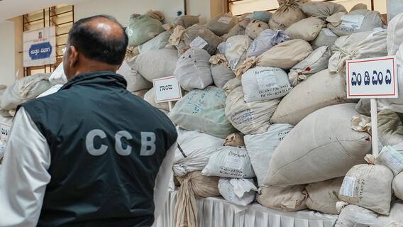 ચૂંટણી વચ્ચે કેશ અને શરાબથી અઢી ગણું વધારે પકડાયું ડ્રગ્સ, માદક પદાર્થ મતદારોને કેવી રીતે કરે છે પ્રભાવિત?