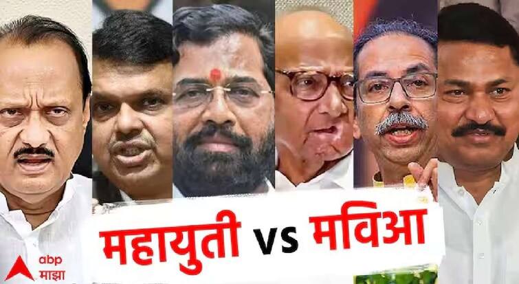 ABP Cvoter Exit Poll Results 2024 Lok Sabha Election what will be result of Vidarbha along with nagpur Amravati Akola Bhandara Buldhana Chandrapur Gadchiroli Gondia Wardha Washim Yavatmal Nagpur Lok Sabha Exit Poll 2024 : विदर्भात कुणाचा झेंडा फडकणार? नागपूरसह विदर्भातील उमेदवारांचा निकाल काय?