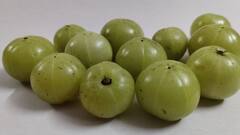 Amla Juice Benefits: ঝকঝকে ত্বকের রহস্য, আমলার গুণে দূরে থাকবে রোগও