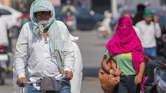 जानलेवा गर्मी! झारखंड में लू से 28 लोगों ने गंवाई जान, चमगादड़ों की मौत से स्वास्थ्य विभाग अलर्ट