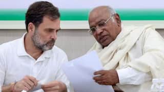 Lok Sabha Elections Result 2024: 'કાઉન્ટિંગમાં ગરબડ જોવા મળે તો તરત વીડિયો મોકલો', કોંગ્રેસે જાહેર કર્યો હેલ્પલાઇન નંબર