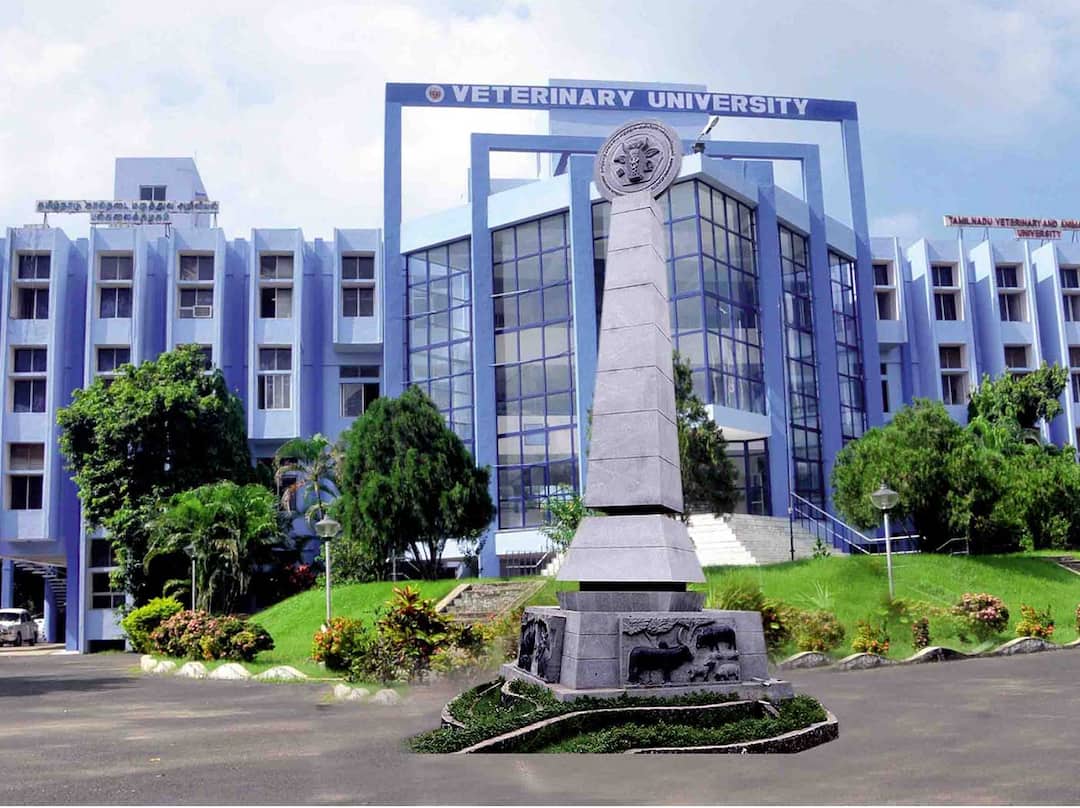 TANUVAS UG Admission: கால்நடை மருத்துவப் படிப்பு; நாளை முதல் ஆன்லைனில் விண்ணப்பிக்கலாம்- எப்படி?