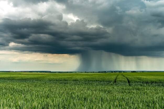 Heavy rain forecast in these 4 states of the country as per forecast of Meteorological department. When will the rains arrive in Gujarat Weather :કાળઝાળ ગરમી વચ્ચે 4 રાજ્યોમાં વરસાદની આગાહી, ગુજરાતમાં ક્યારે થશે  મેઘરાજાનું આગમન?