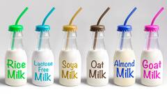 World Milk Day: 5 Alternatives To Cow's Milk For Those Who Are Lactose Intolerant