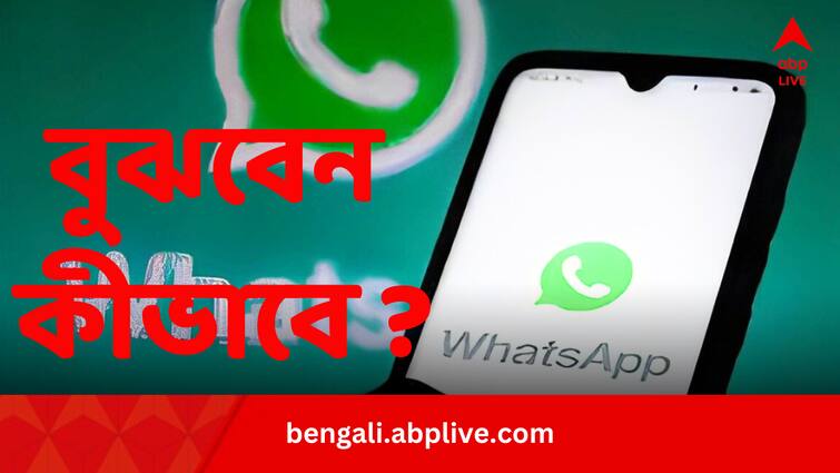 whatsapp hidden trick to know who you chat most know the details WhatsApp Secret Trick: কার সঙ্গে বেশি কথা হয় হোয়াটসঅ্যাপে ? বুঝবেন কীভাবে ?