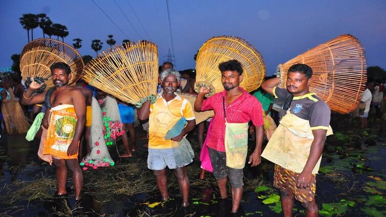 Madurai Kallandhiri Fishing Festival Thousands of people enthusiastically enjoyed fishing - TNN கமகமத்த மீன்குழம்பு வாசனை... களைகட்டிய கள்ளந்திரி மீன்பிடி திருவிழா;  மீன்பிடித்து மகிழ்ந்த மக்கள்