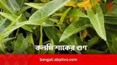 কলমি শাকের গুণে বাড়বে আয়ু কয়েক বছর, ছুঁতে পারবে না এই রোগগুলি