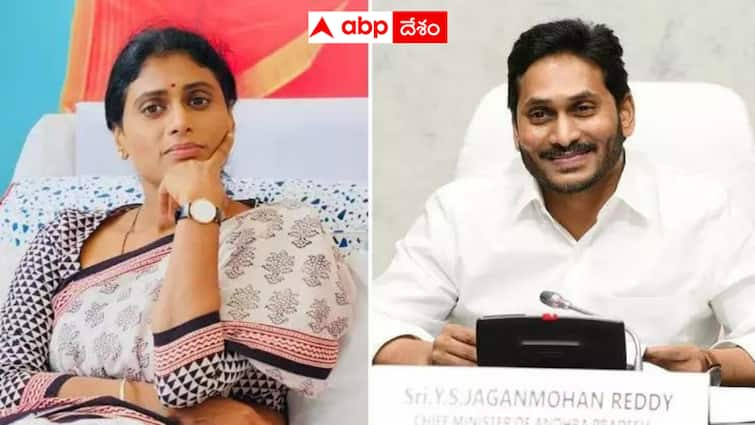 ABP Cvoter Exit Poll Has Congress and Sharmila damaged YSRCP In Kadapa Andhra Pradesh Exit Poll :  వైఎస్ఆర్ కాంగ్రెస్ పార్టీని కాంగ్రెస్ దెబ్బకొట్టిందా ? కడప సీటు కూడా అందుకే డౌట్‌లో పడిందా ?