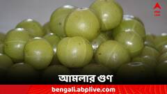 Amla Juice Benefits: ঝকঝকে ত্বকের রহস্য, আমলার গুণে দূরে থাকবে রোগও