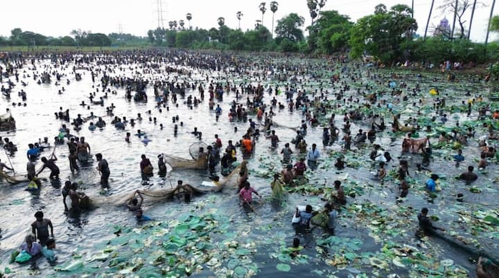 Madurai Fishing Festival : பாரம்பரிய கள்ளந்திரி மீன்பிடி திருவிழாவில் ரோகு, கட்லா, ஜிலேபி, கெண்டை, விரால் உள்ளிட்ட பல்வேறு வகையான மீன்களை பொதுமக்கள் பிடித்தனர்.