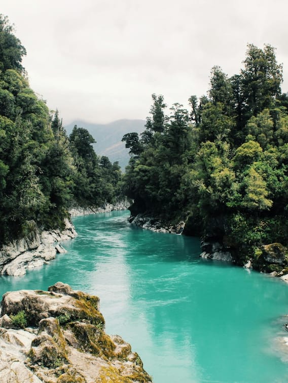 अमेजन नदी पर आज तक क्यों नहीं बना कोई पुल?