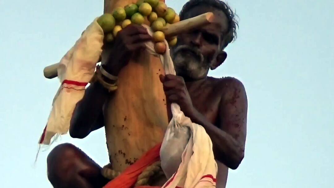 திண்டுக்கல்: முத்தாலம்மன் கோயில் திருவிழாவில் கழுகு மரம் ஏறும் நிகழ்ச்சி; வழுக்கி வழுக்கி விழுந்த இளைஞர்கள்