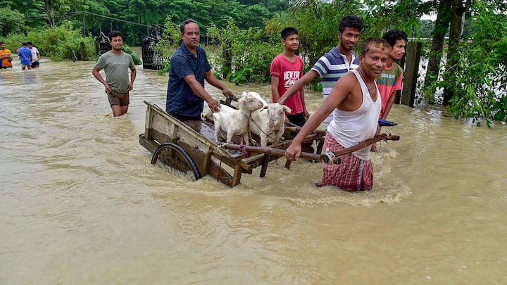 ইতিমধ্যেই বন্যাদুর্গতদের আশ্রয় দেওয়ার জন্য অসমের বিভিন্ন জায়গায় মোট ১৮৭টি ত্রাণ শিবির ও সরবরাহ কেন্দ্র খোলা হয়েছে যাতে এখনও পর্যন্ত ৬৮ হাজার ৬০০ জন মানুষ আশ্রয় নিয়েছেন। পাশাপাশি অনেক বন্যাদুর্গত মানুষ নিজের উদ্যোগে উঁচু ও নিরাপদ জায়গায় আশ্রয় নিয়েছেন। বন্যার জেরে মানুষের পাশাপাশি ক্ষতিগ্রস্ত হয়েছে মোট এক কোটি ২৩ লক্ষ ৬৩টি গৃহপালিত পশু।(ছবি সৌজন্য- পিটিআই)