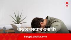 Daytime Sleeping Benefits: লাঞ্চের পর হালকা ঝিমুনি ? ঘুমোলে কাজের এনার্জি বাড়বে ?