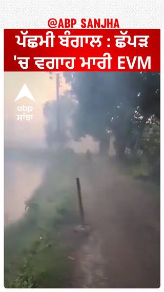 Lok Sabha Elections: ਲਓ ਜੀ ਵੋਟਿੰਗ ਦੌਰਾਨ ਲੋਕਾਂ ਨੇ ਟੋਭੇ 'ਚ ਸੁੱਟੀ EVM ਤੇ VVPAT ਮਸ਼ੀਨ, ਕੀ ਬਣਿਆ ਮਾਹੌਲ?