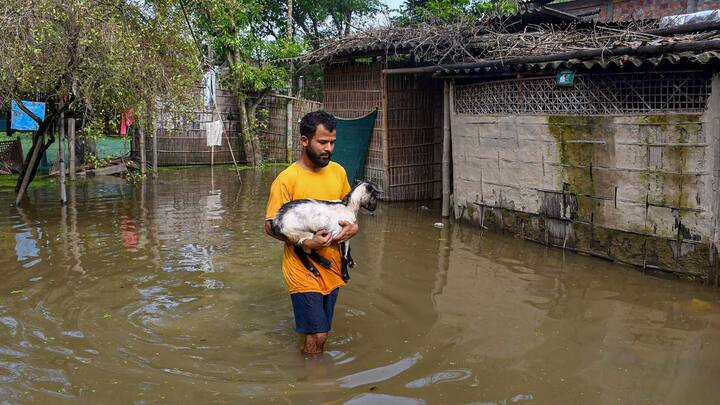 প্রশাসন সূত্রে জানা গেছে,গত ২৪ ঘণ্টায় বন্যার জলের ফলে ক্ষতিগ্রস্ত হয়েছে ১১টি রাস্তা, প্রচুর স্বাস্থ্যকেন্দ্র, কালভার্ট, অঙ্গনওয়াড়ি স্কুল, স্কুল বিল্ডিং ও সেচের ক্যানাল। পাশাপাশি বাঁধ ভেঙেছে তিনটি।(ছবি সৌজন্য- পিটিআই)