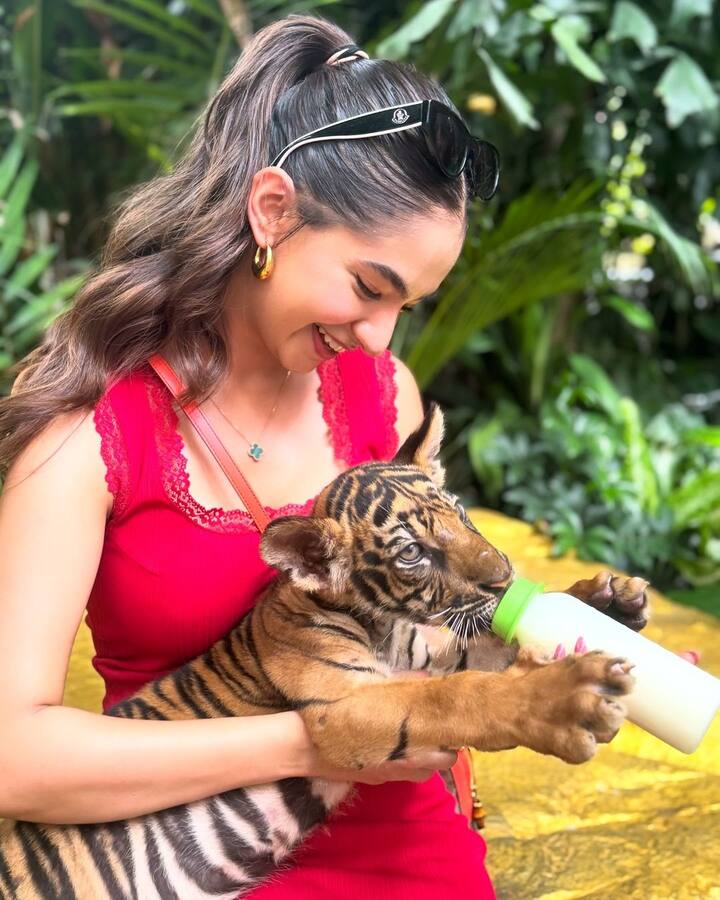 All Pics Credit: Instagram/@anushkasen0408