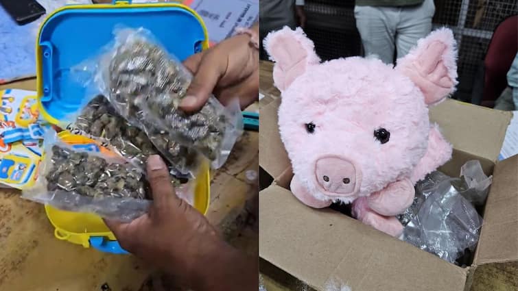 Custom Officials Finds Drugs Worth Over ₹ 1 Crore in Toys Lunch Box Ahmedabad: పిల్లల బొమ్మలు లంచ్‌బాక్స్‌లో రూ.కోటి విలువైన డ్రగ్స్ స్మగ్లింగ్, సీజ్ చేసిన అధికారులు
