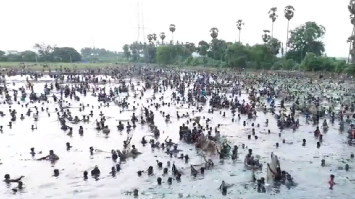 WATCH: Hundreds Of Villagers Celebrate Centuries-Old Fishing Festival Near Tamil Nadu's Melur