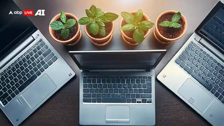 અરજી કરવા માટે, ઉમેદવારે અધિકૃત સાઇટ hc-ojas.gujarat.gov.in ની મુલાકાત લેવી પડશે. અરજી કરવાની છેલ્લી તારીખ 15મી જૂન છે.