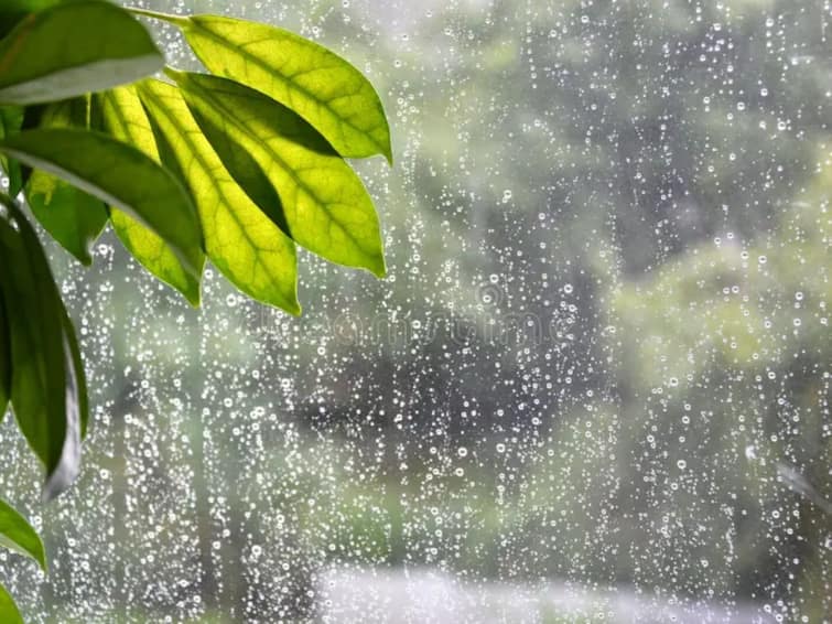 Rain in 11 districts of Punjab heatwave alert in 9 relief from western disturbance till June 4 Punjab Weather Update: ਪੰਜਾਬ ਦੇ 11 ਜ਼ਿਲ੍ਹਿਆਂ 'ਚ ਮੀਂਹ, 9 'ਚ ਹੀਟਵੇਵ ਅਲਰਟ: ਵੈਸਟਰਨ ਡਿਸਟਰਬੈਂਸ ਤੋਂ 4 ਜੂਨ ਤਕ ਰਾਹਤ