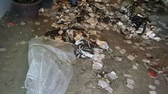 North Korea Sends Another Set Of Trash-Packed Balloons To South Korea