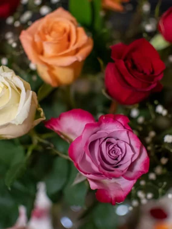 गुलाब का फूल खाने के क्या फायदे हैं?