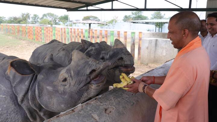 Gorakhpur Zoo News: सीएम योगी आदित्यानाथ आज गोरखपुर चिड़ियाघर का भ्रमण किया. इस दौरान उन्होंने इटावा लॉयन सफारी से लाए गए बब्बर शेर पांच साल के भरत और शेरनी देखा. जानवरों को प्यार भी किया.
