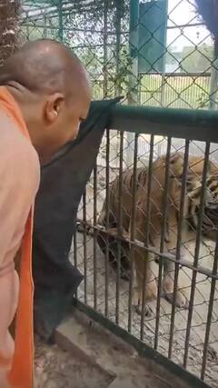 Top News: चिड़िया घर में चीता के साथ नजर आए CM Yogi | Elections 2024 | ABP Shorts