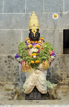 Vitthal Mandir : तब्बल 79 दिवसांनंतर विठुरायाच्या चरणस्पर्श दर्शनास सुरुवात; विठ्ठलाच्या दर्शनासाठी जमली भाविकांची मांदियाळी