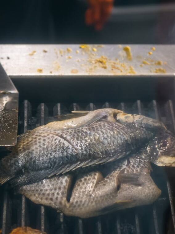 इस मछली में ऐसा क्या जो खाने के इतने फायदे हैं