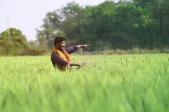 Subsidy: फसलों के बीज पर किन किसानों को मिलती है सब्सिडी, लाखों क्विंटल बीज बांट रही सरकार