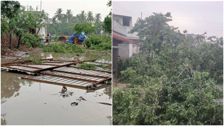 Heavy rain with thunder and lightning winds in Villupuram - TNN விழுப்புரத்தில் இடி, மின்னல் காற்றுடன் கூடிய கனமழை...வீடுகளில் மீது விழுந்த மரங்கள்