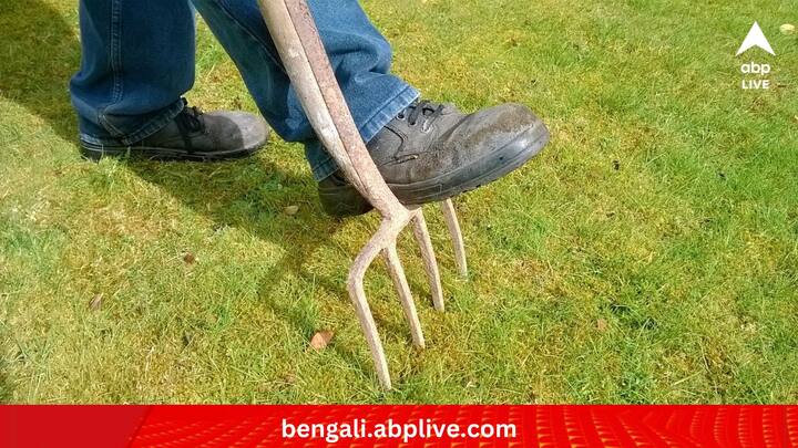 বাগান করতে গেলেও পরিশ্রম নেহাৎ কম নয়। ঝরা পাতা, উড়ে আসা আবর্জনা, ধুলো পরিষ্কার করা থেকে শুরু করে সার, বীজ দেওয়া--সব মিলিয়ে ঘাম কম ঝরে না।  (ছবি:PIXABAY)