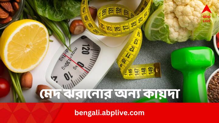 Regular Habits To Lose Weight: প্রচণ্ড গরমে ওজন কমানো কিছুটা মুশকিল হয়ে দাঁড়ায়। এই অবস্থায় কিছু অভ্যাস কিন্তু ওজন কমানোর ব্যাপারে সাহায্য করে।