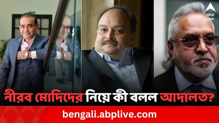Court said Vijay Mallya, Nirav Modi And Mehul Choksi fled country because investigation agencies failed to arrest at proper time Nirav Modi: ঠিক সময়ে গ্রেফতার করা যায়নি বলেই দেশ থেকে পালিয়েছে নীরব মোদিরা, পর্যবেক্ষণ আদালতের