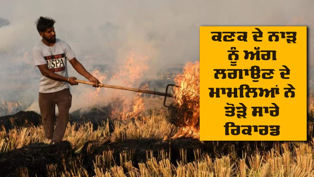 Waste of wheat: ਕਣਕ ਦੇ ਨਾੜ ਨੂੰ ਅੱਗ ਲਗਾਉਣ ਦੇ ਮਾਮਲਿਆਂ ਨੇ ਤੋੜੇ ਸਾਰੇ ਰਿਕਾਰਡ, ਅੰਕੜੇ ਦੇਖ ਤੁਸੀਂ ਵੀ ਰਹਿ ਜਾਵੋਗੇ ਹੈਰਾਨ Cases of Waste of wheat grain on fire broke all records. Waste of wheat: ਕਣਕ ਦੇ ਨਾੜ ਨੂੰ ਅੱਗ ਲਗਾਉਣ ਦੇ ਮਾਮਲਿਆਂ ਨੇ ਤੋੜੇ ਸਾਰੇ ਰਿਕਾਰਡ, ਅੰਕੜੇ ਦੇਖ ਤੁਸੀਂ ਵੀ ਰਹਿ ਜਾਵੋਗੇ ਹੈਰਾਨ