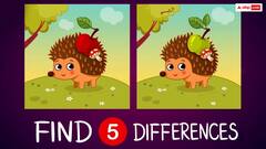 Optical Illusion: इस तस्वीर में 10 सेकेंड में ढूंढकर दिखाएं पांच अंतर, 90 परसेंट लोग हो गए फेल