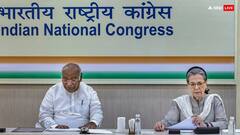 Lok Sabha Elections 2024: इस राज्य में कांग्रेस की बंपर जीत पर CM ने दिखाया विश्वास, सही साबित हुए तो मल्लिकार्जुन खरगे देंगे खास 'ईनाम'