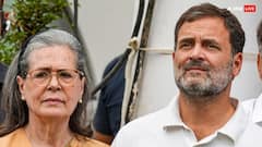 Lok Sabha Elections 2024: राहुल गांधी-अखिलेश यादव की हार पर लगा मोटा सट्टा, जीतने वालों को होगा इतने का लाभ