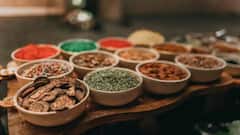 क्या सूंघने से भी नुकसान पहुंचाता है पान मसाला, फैक्ट्री में काम करने वालों को कितना खतरा?