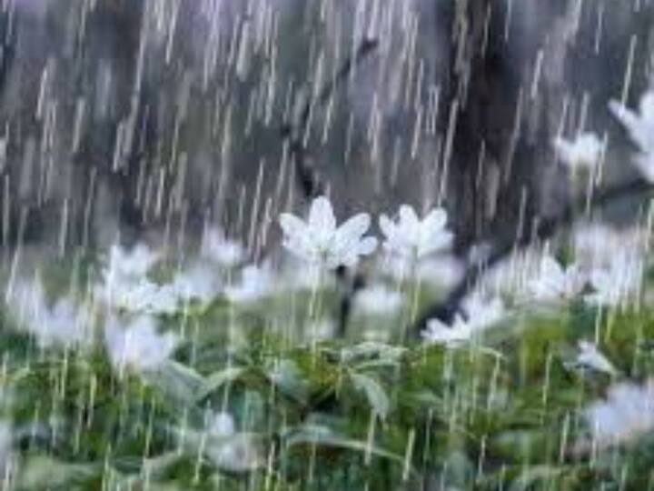 ਮੌਸਮ ਵਿਭਾਗ ਨੇ ਅਗਲੇ ਤਿੰਨ ਦਿਨ ਮੌਸਮ ਵਿੱਚ ਪੱਛਮੀ ਵਿਗਾੜ ਦੇ ਚਲਦਿਆਂ ਕਈ ਥਾਵਾਂ ’ਤੇ ਤੇਜ਼ ਹਵਾਵਾਂ ਚੱਲਣ ਤੇ ਟੁੱਟਵਾਂ ਮੀਂਹ ਪੈਣ ਦੀ ਪੇਸ਼ੀਨਗੋਈ ਕੀਤੀ ਹੈ। ਇਸ ਨਾਲ ਲੋਕਾਂ ਨੂੰ ਅਤਿ ਦੀ ਗਰਮੀ ਤੋਂ ਮਾਮੂਲੀ ਰਾਹਤ ਮਿਲਣ ਦੀ ਸੰਭਾਵਨਾ ਬਣ ਗਈ ਹੈ।