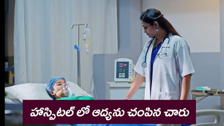 Padamati Sandhya Ragam serial today Episode 535 June 3rd written update Padamati Sandhya Ragam Serial Today  June 3rd : ‘పడమటి సంధ్యారాగం’ సీరియల్‌: హాస్పిటల్ లో ఆద్యను చంపేసిన చారు – శోకసంద్రంలో రఘురాం కుటుంబం