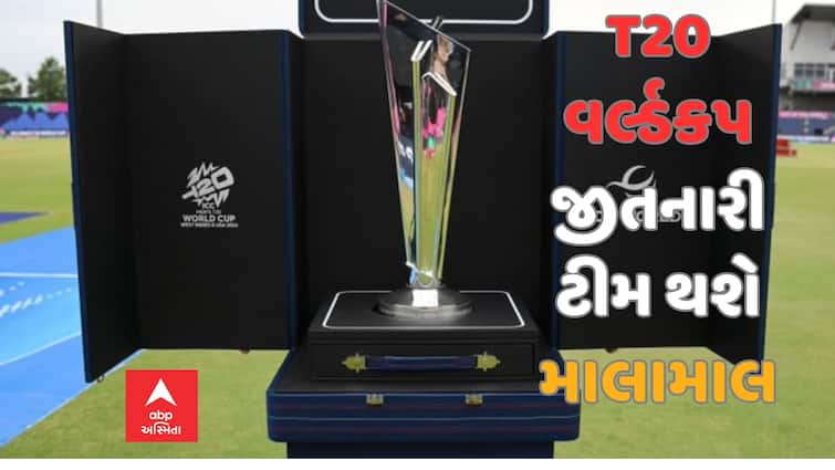 T20 World Cup 2024 ICC reveal historic prize money for the Men sT20WorldCup T20 World Cup Prize Money: આઈસીસીએ ટી20 વર્લ્ડ કપ પ્રાઇઝ મનીની કરી જાહેરાત, વિજેતા ટીમ પર થશે રૂપિયાનો વરસાદ