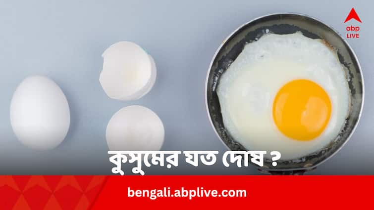 Top Myths And Facts About Egg White And Egg Yolk Egg Yolk Myths: ডিমের কুসুমেরই যত দোষ ? ঝেড়ে ফেলুন এই ভুল ধারণাগুলি