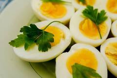 Egg vs Milk : દૂધ કે ઈંડું... જાણો કયું છે સ્વસ્થ રહેવા માટેનું રહસ્ય, કોણ વધારે ફાયદાકારક છે?