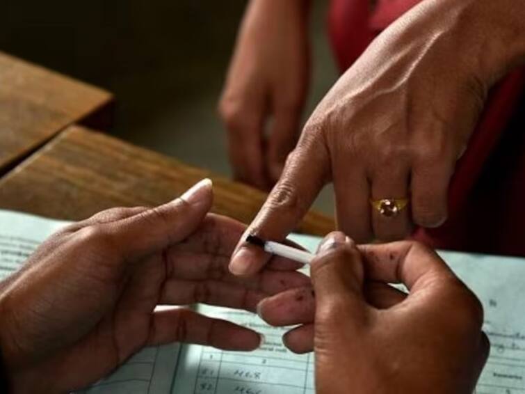 Lok Sabha Election 2024 Major signs of low percentage voting in Punjab Alarm bells for political parties Lok Sabha Election 2024: ਸਿਆਸੀ ਪਾਰਟੀਆਂ ਲਈ ਖਤਰੇ ਦੀ ਘੰਟੀ! ਪੰਜਾਬੀਆਂ ਦਾ ਵੋਟਿੰਗ ਤੋਂ ਮੋਹ ਭੰਗ