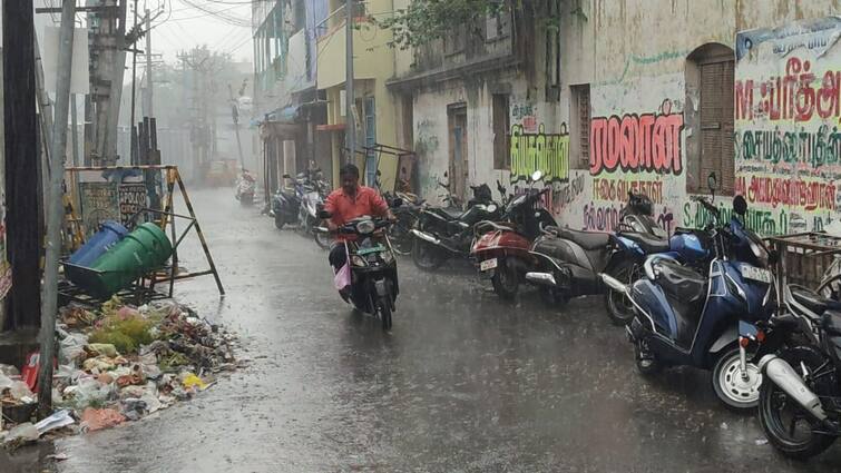 Tamilnadu Weather Updates rain over 12 districts TN Rain: தமிழ்நாட்டில் 12 மாவட்டங்களில் இரவு வரை மழைக்கு வாய்ப்பு: எங்கெல்லாம் தெரியுமா?